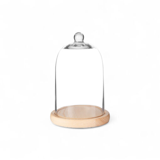 Dome Decor Glassware (H18cm)