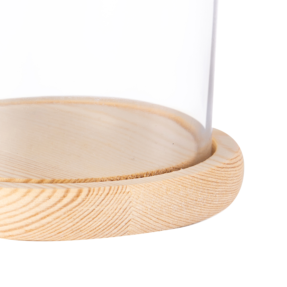 Dome Decor Glassware (H18cm) - Image 4