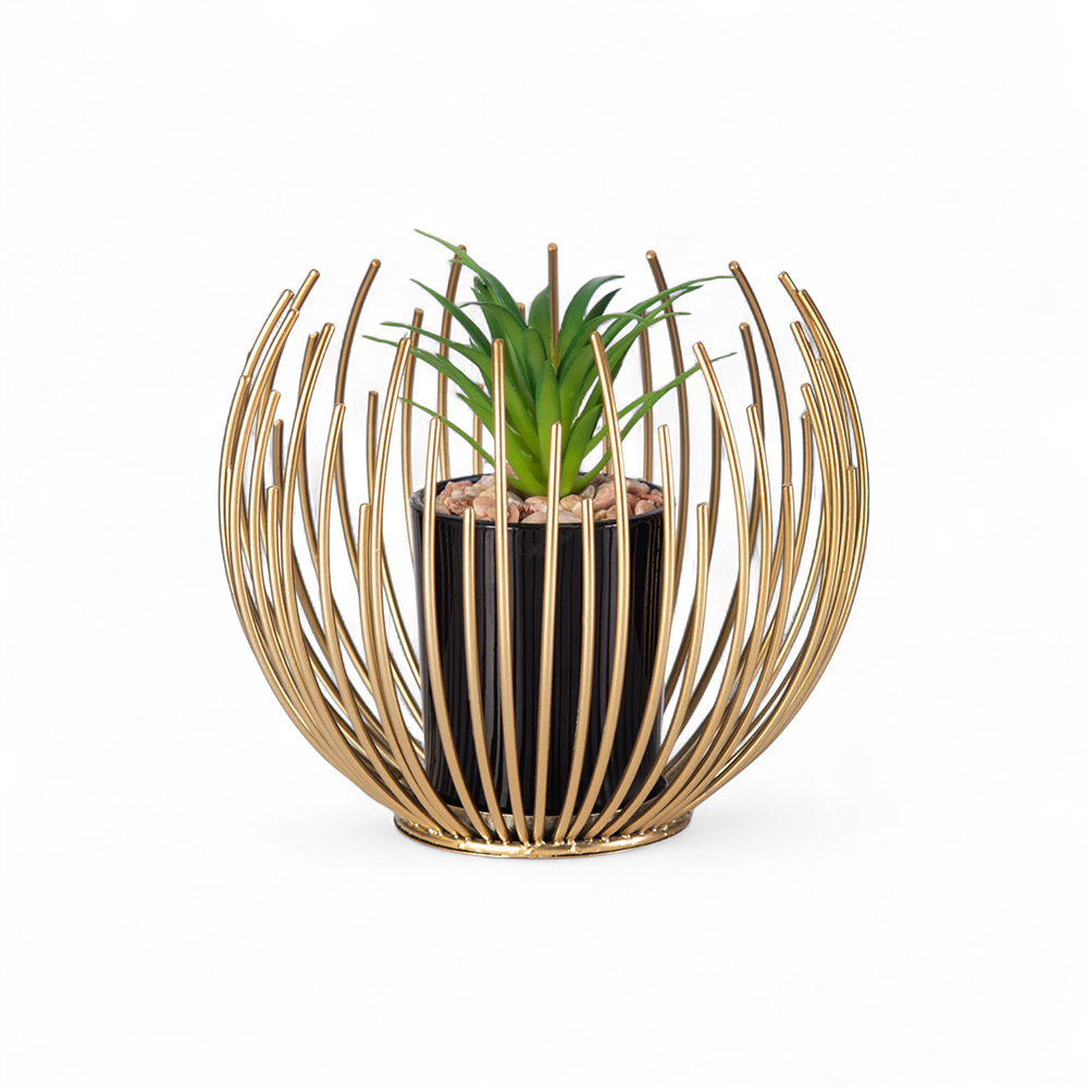 Desktop Potted Plant (H12.5cm)