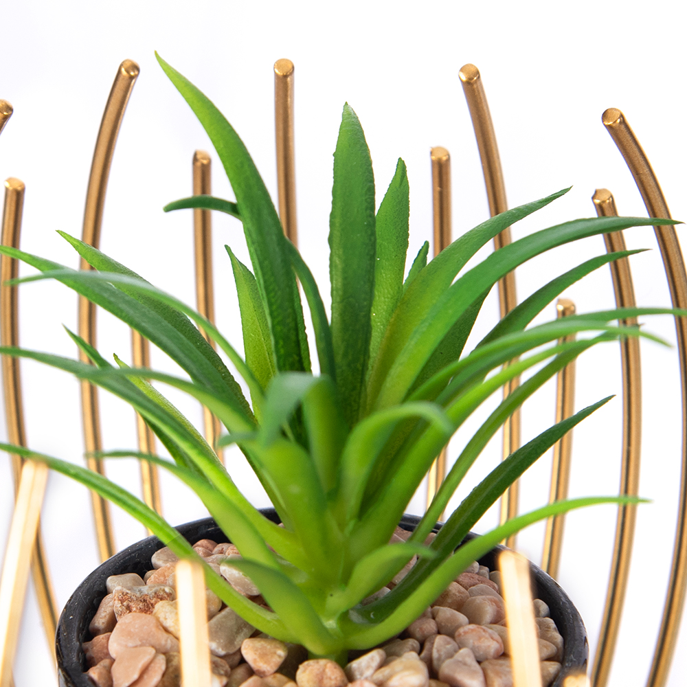 Desktop Potted Plant (H12.5cm) - Image 2