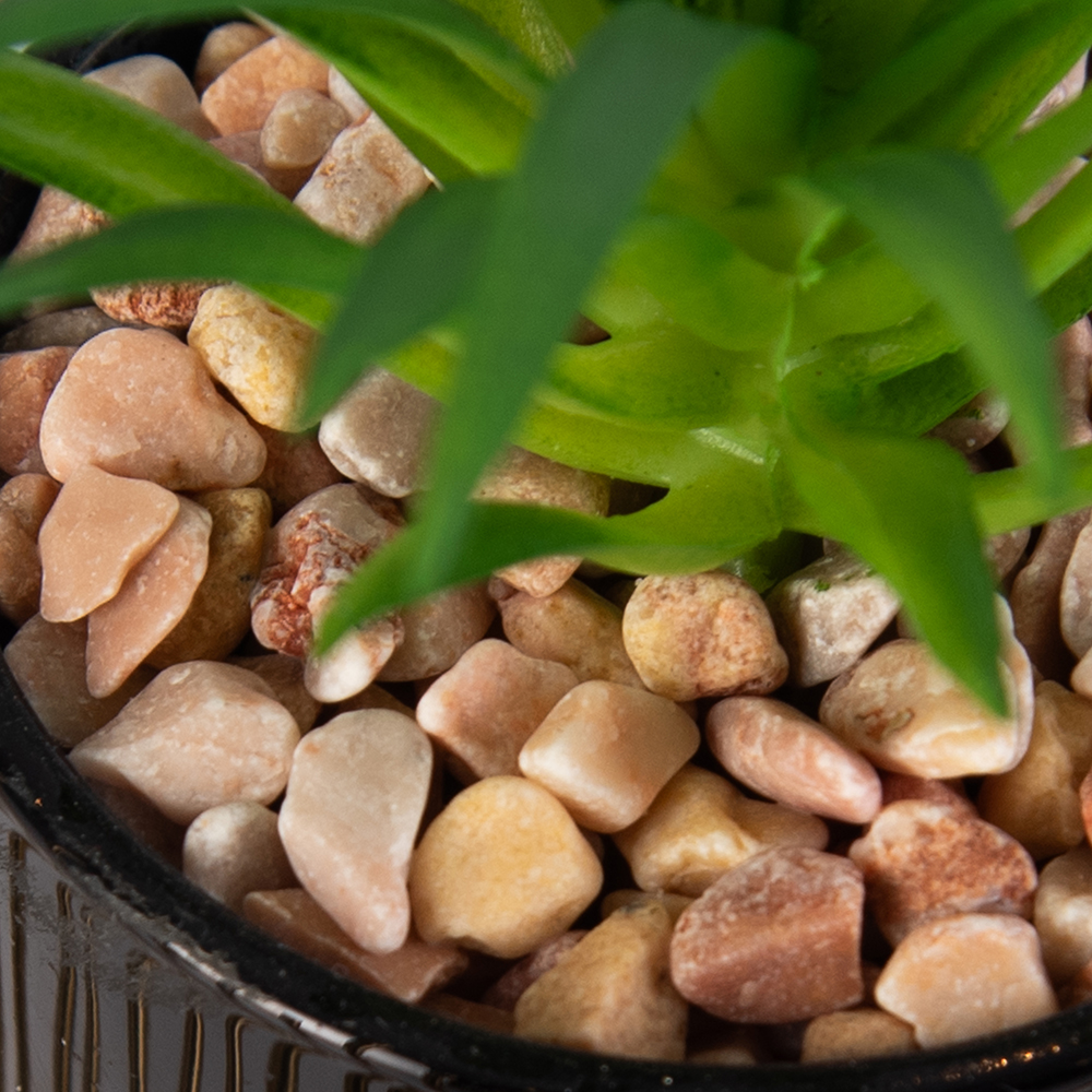 Desktop Potted Plant (H12.5cm) - Image 6
