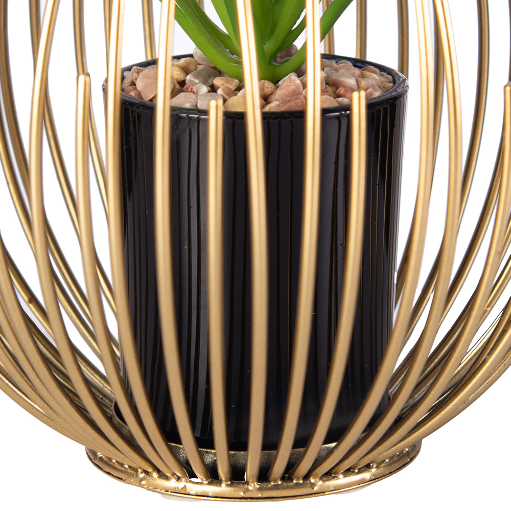 Desktop Potted Plant (H12.5cm) - Image 3