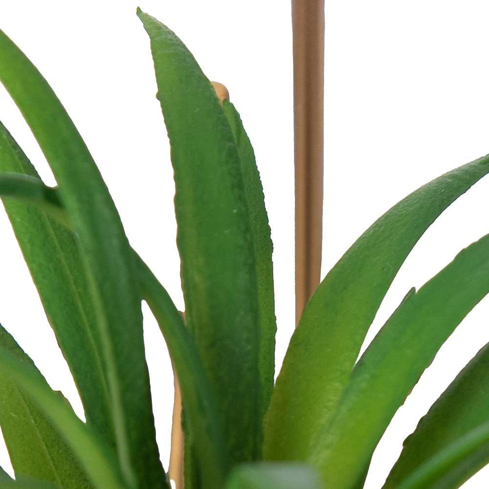Desktop Potted Plant (H12.5cm) - Image 4