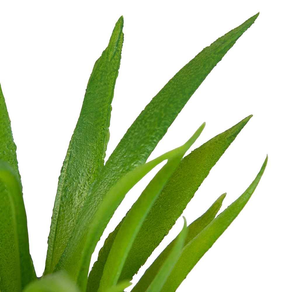 Desktop Potted Plant (H20cm) - Image 7