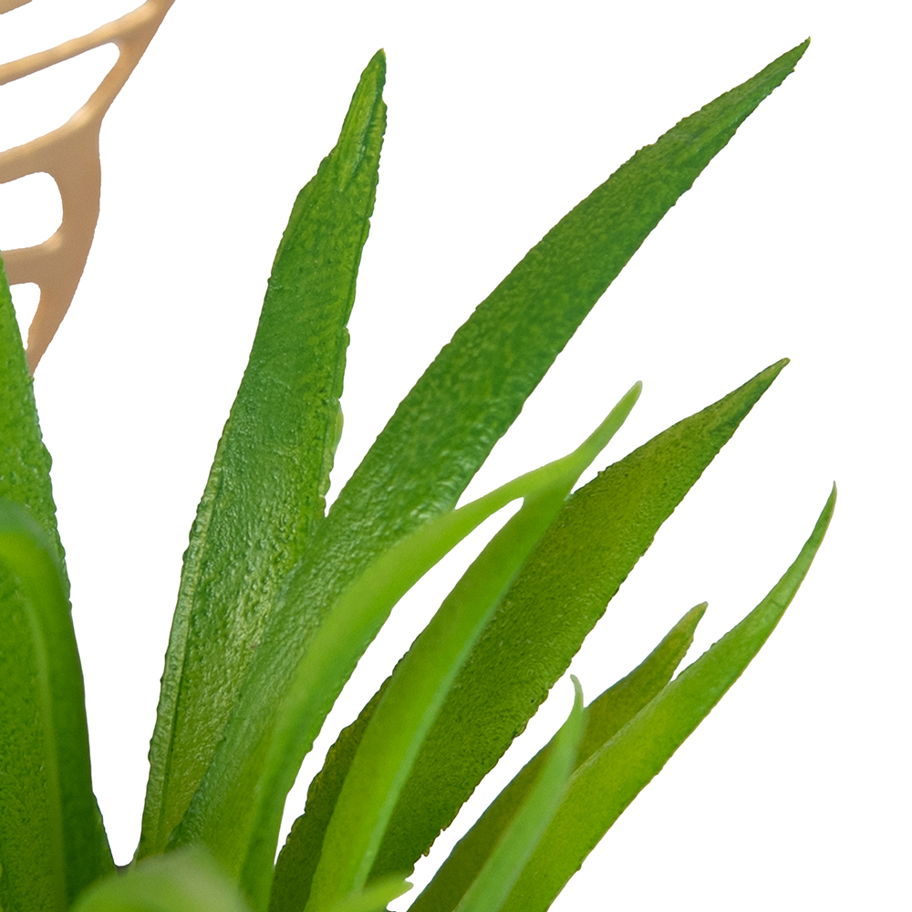 Desktop Potted Plant (H19cm) - Image 7