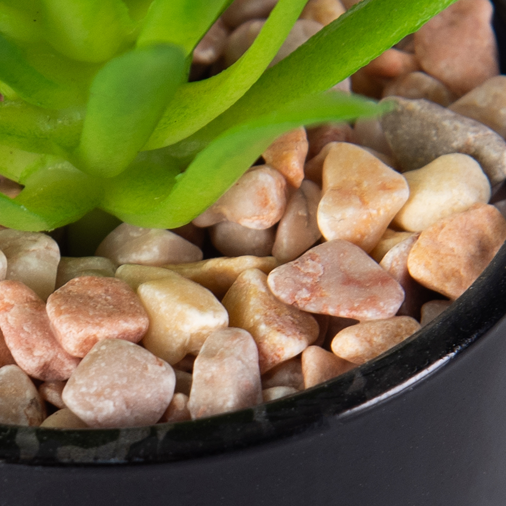 Desktop Potted Plant (H19cm) - Image 8