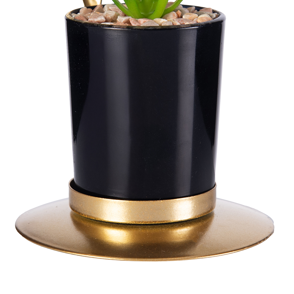 Desktop Potted Plant (H19cm) - Image 10
