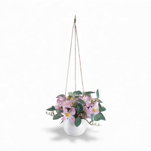Potted Tradescantia (H18cm)