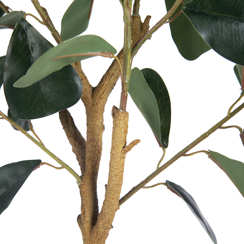 Potted Real Touched Heart Shaped Ficus (H80cm) - Image 4