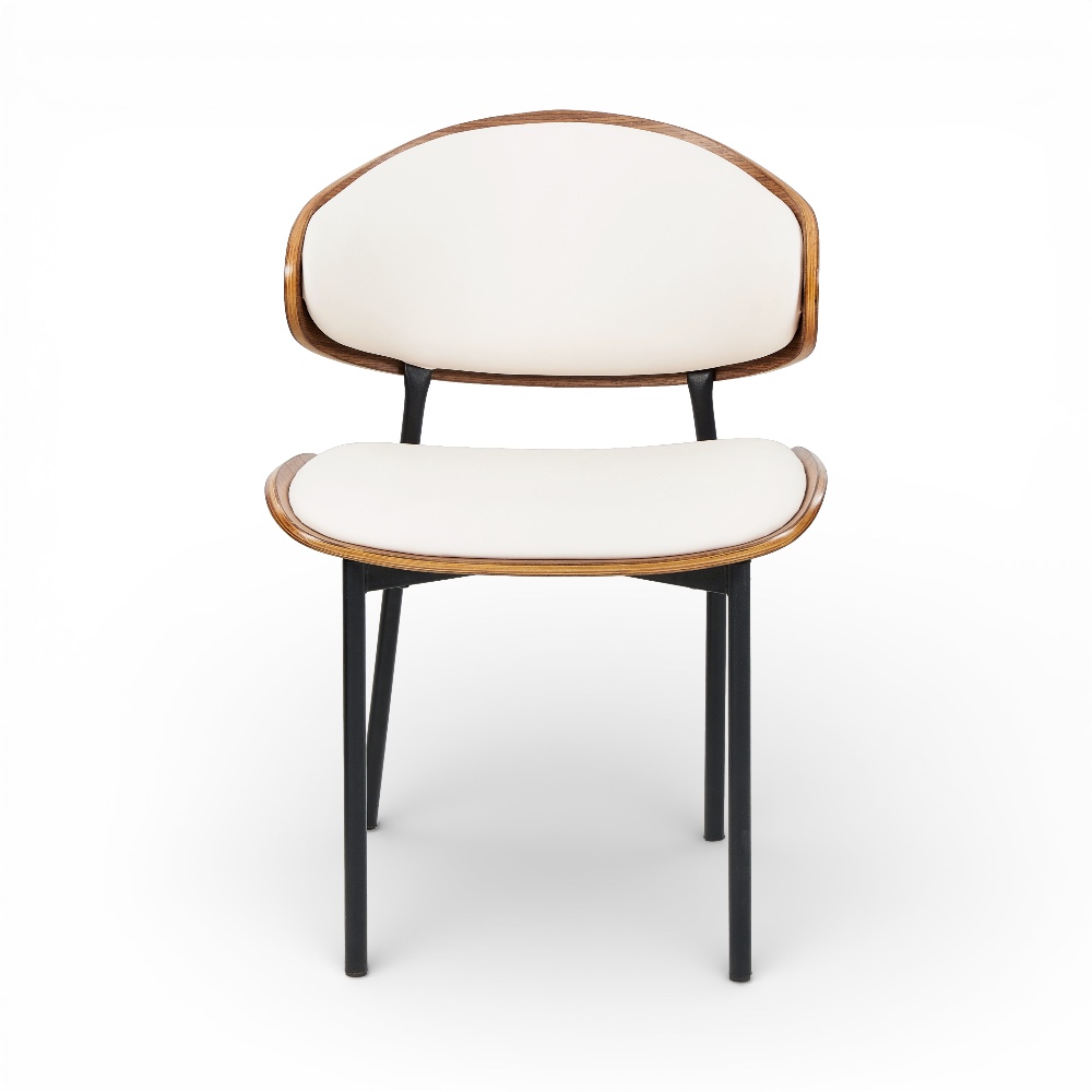 Coty Scratch Resistant Dining Chair - Image 2