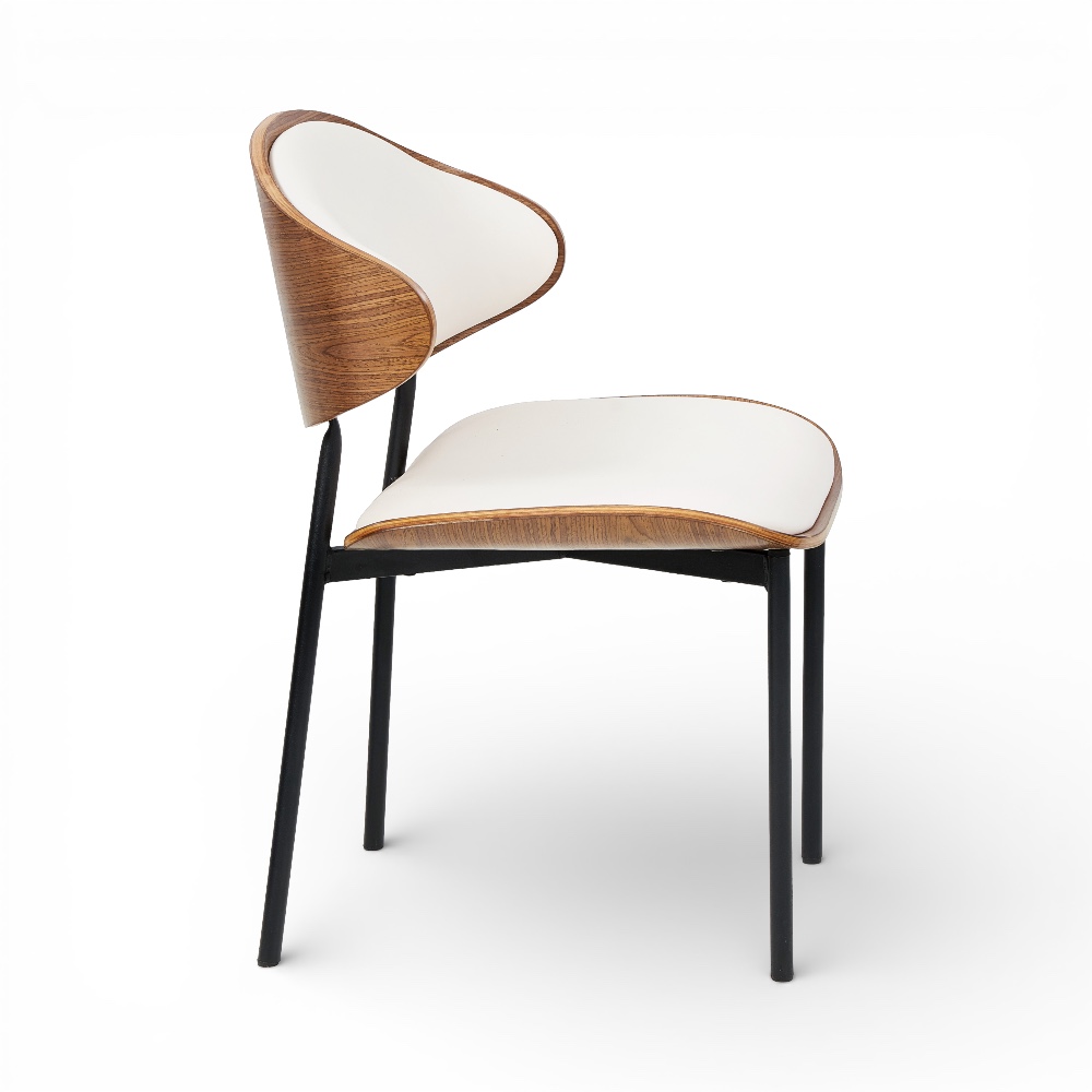 Coty Scratch Resistant Dining Chair - Image 3