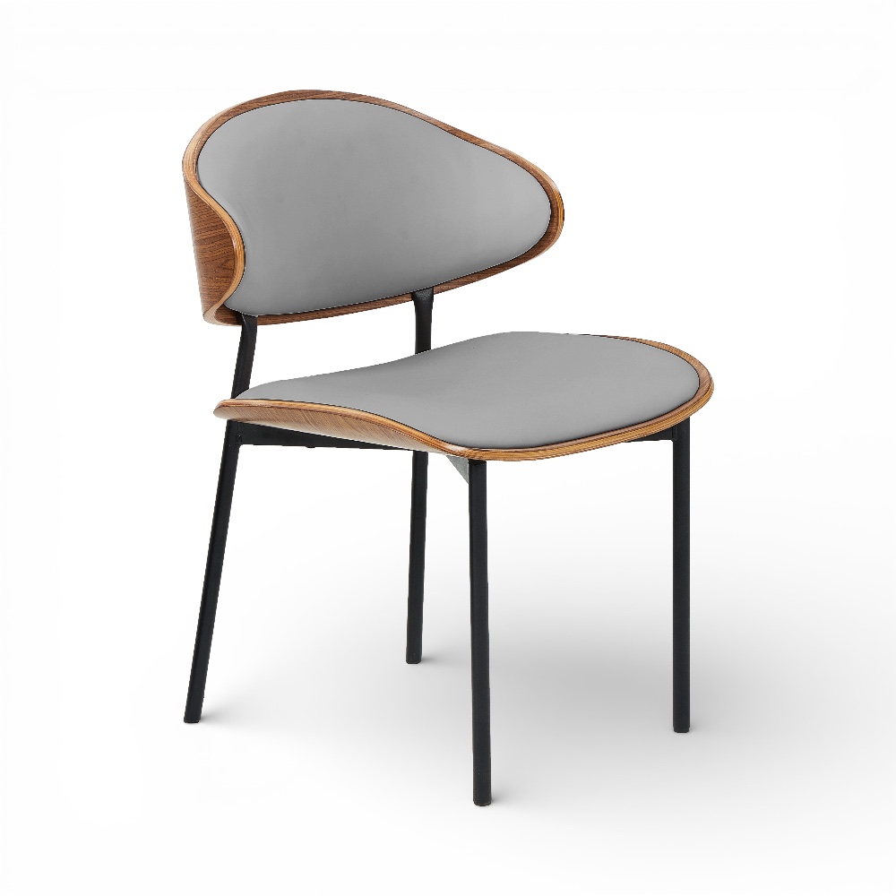 Coty Scratch Resistant Dining Chair - Image 13