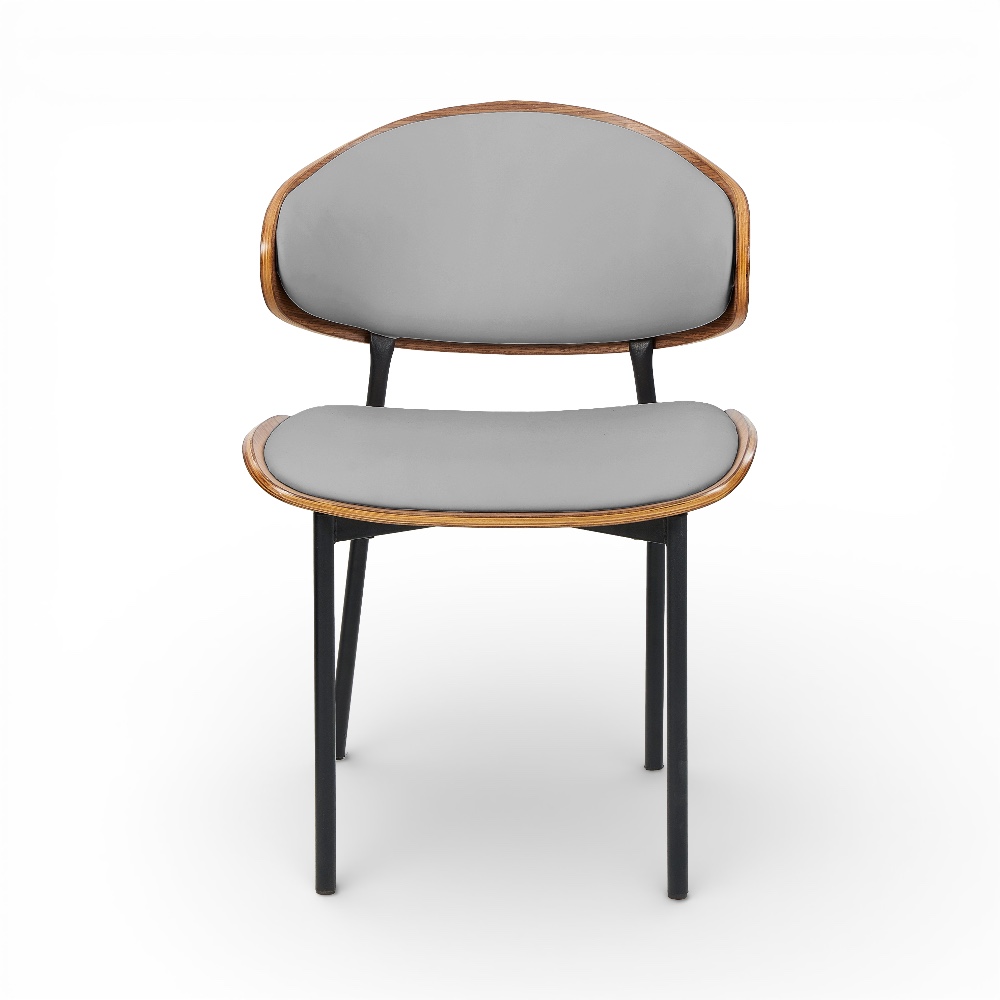 Coty Scratch Resistant Dining Chair - Image 14