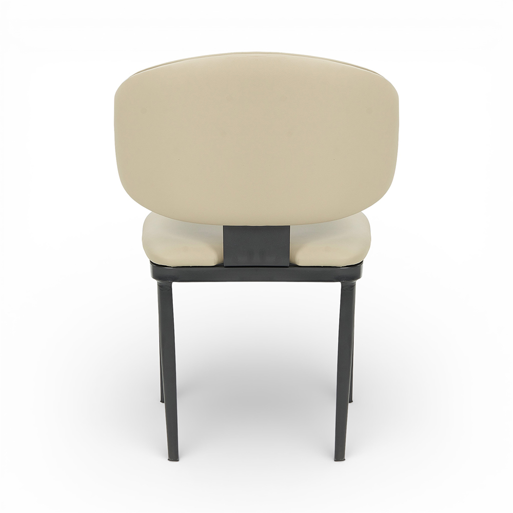 Algen Scratch Resistant Dining Chair - Image 4