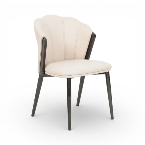 Davonte Scratch Resistant Dining Chair