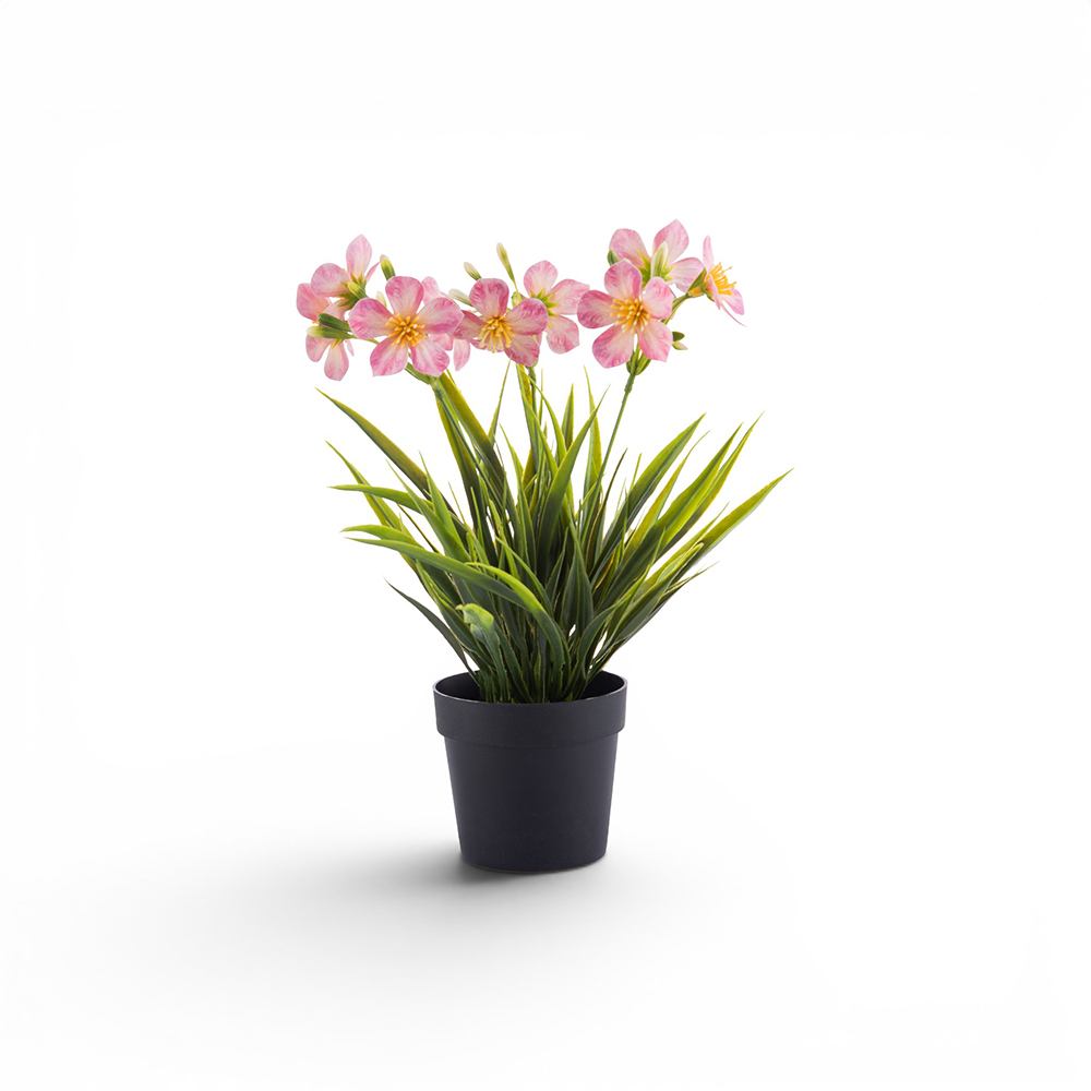 Potted Periwinkle (H29cm) - Image 7