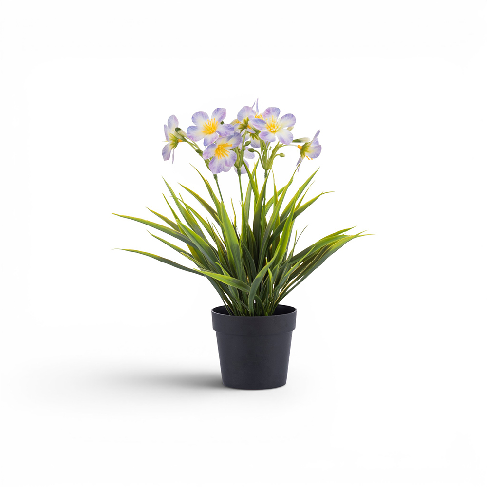 Potted Periwinkle (H29cm) - Image 8