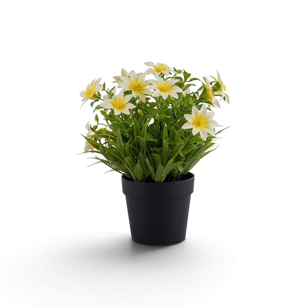Potted Daisy (H23cm) - Image 6