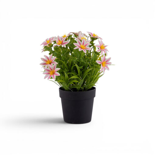 Potted Daisy (H23cm)