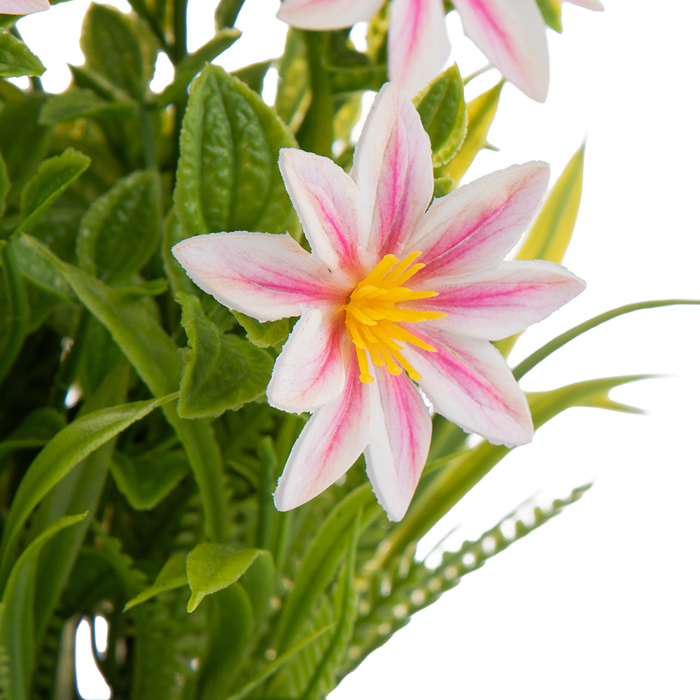 Potted Daisy (H23cm) - Image 2