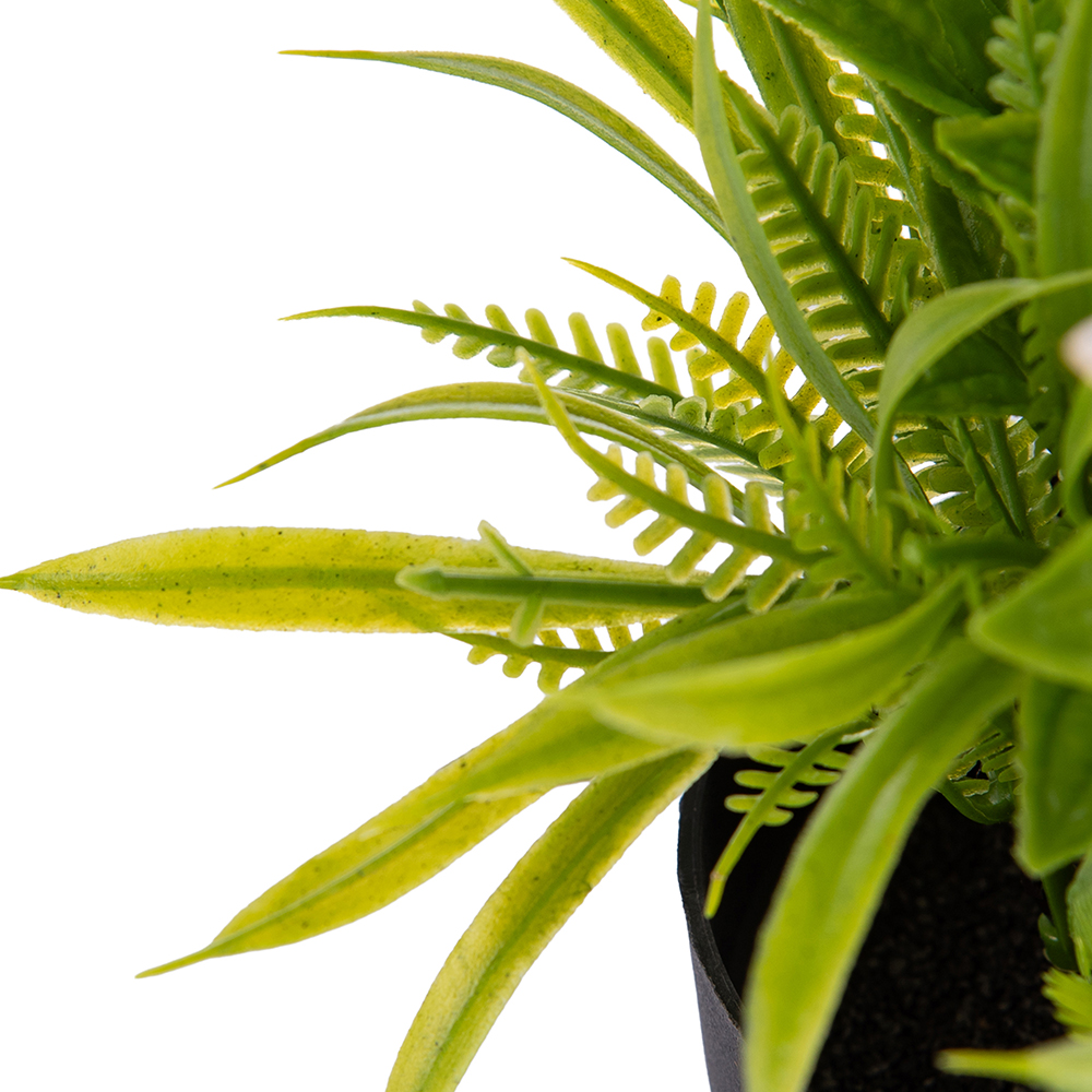 Potted Daisy (H23cm) - Image 3