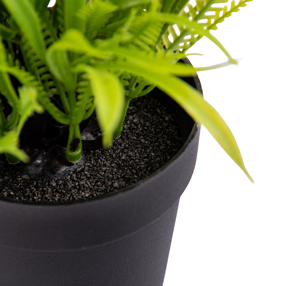 Potted Daisy (H23cm) - Image 4