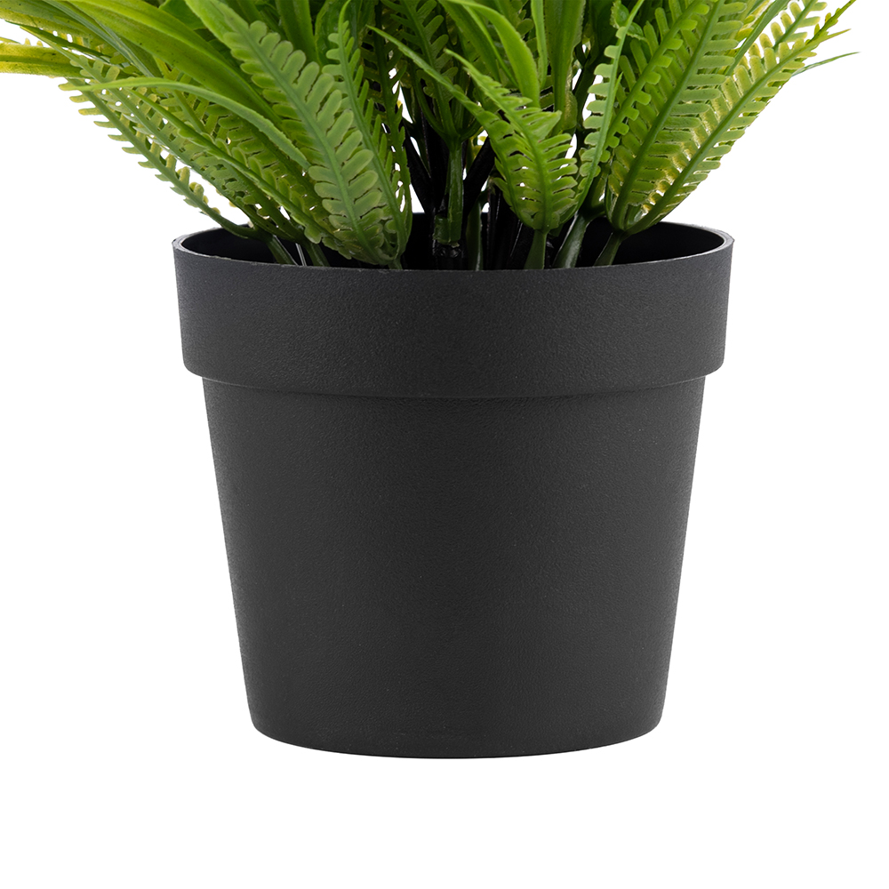 Potted Daisy (H23cm) - Image 5