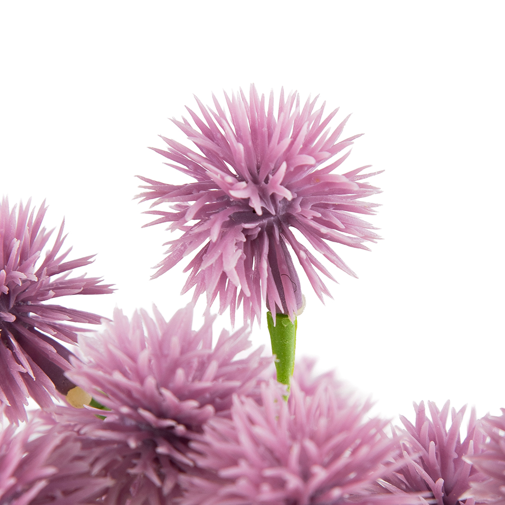 Potted Globe Amaranth (H31cm) - Image 2
