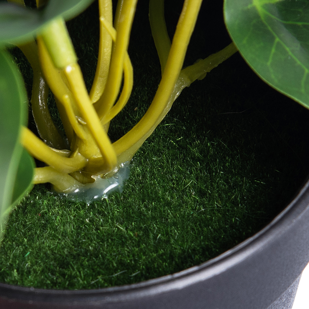 Potted Golden Pothos (H23cm) - Image 4