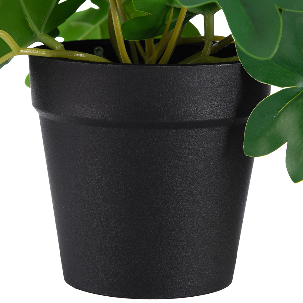 Potted Philodendron (H21cm) - Image 6