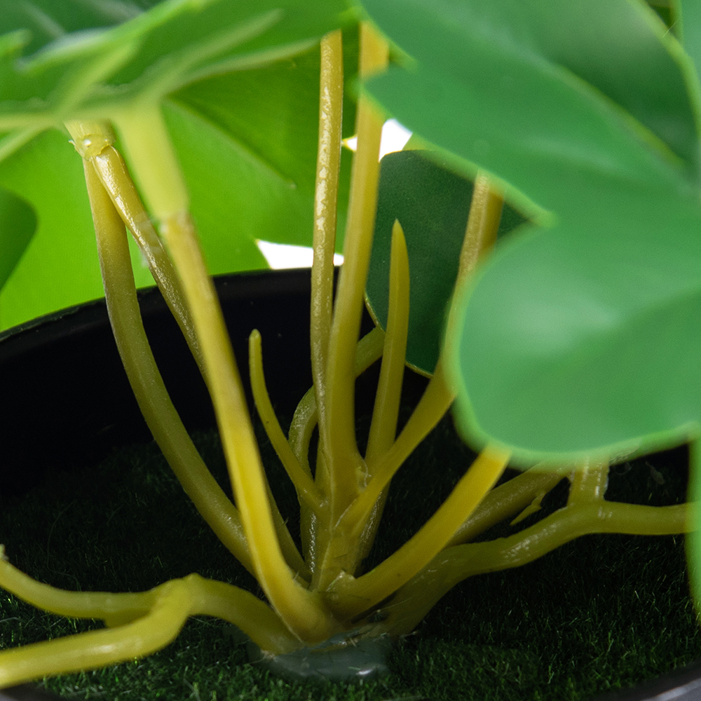 Potted Philodendron (H21cm) - Image 4