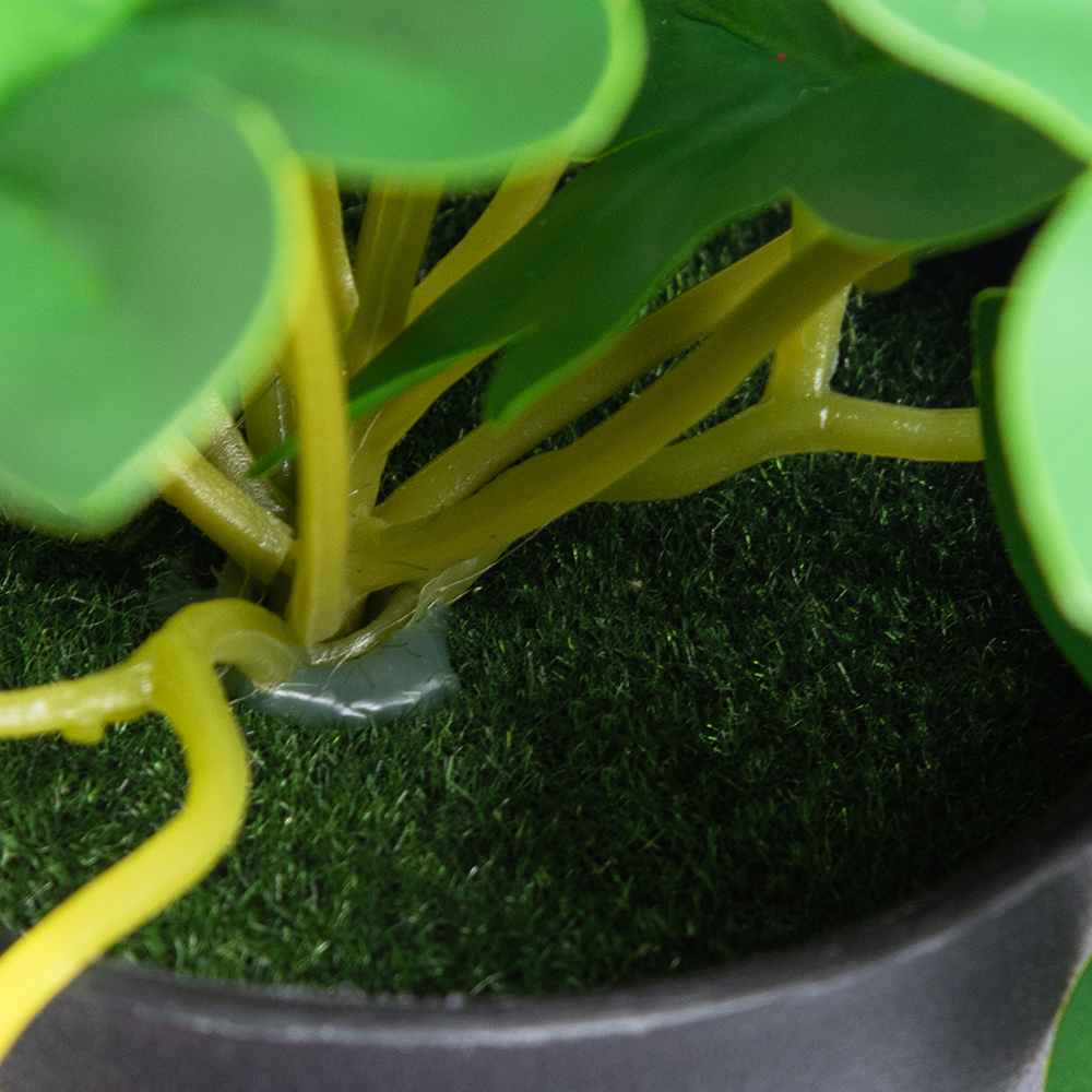 Potted Philodendron (H21cm) - Image 5