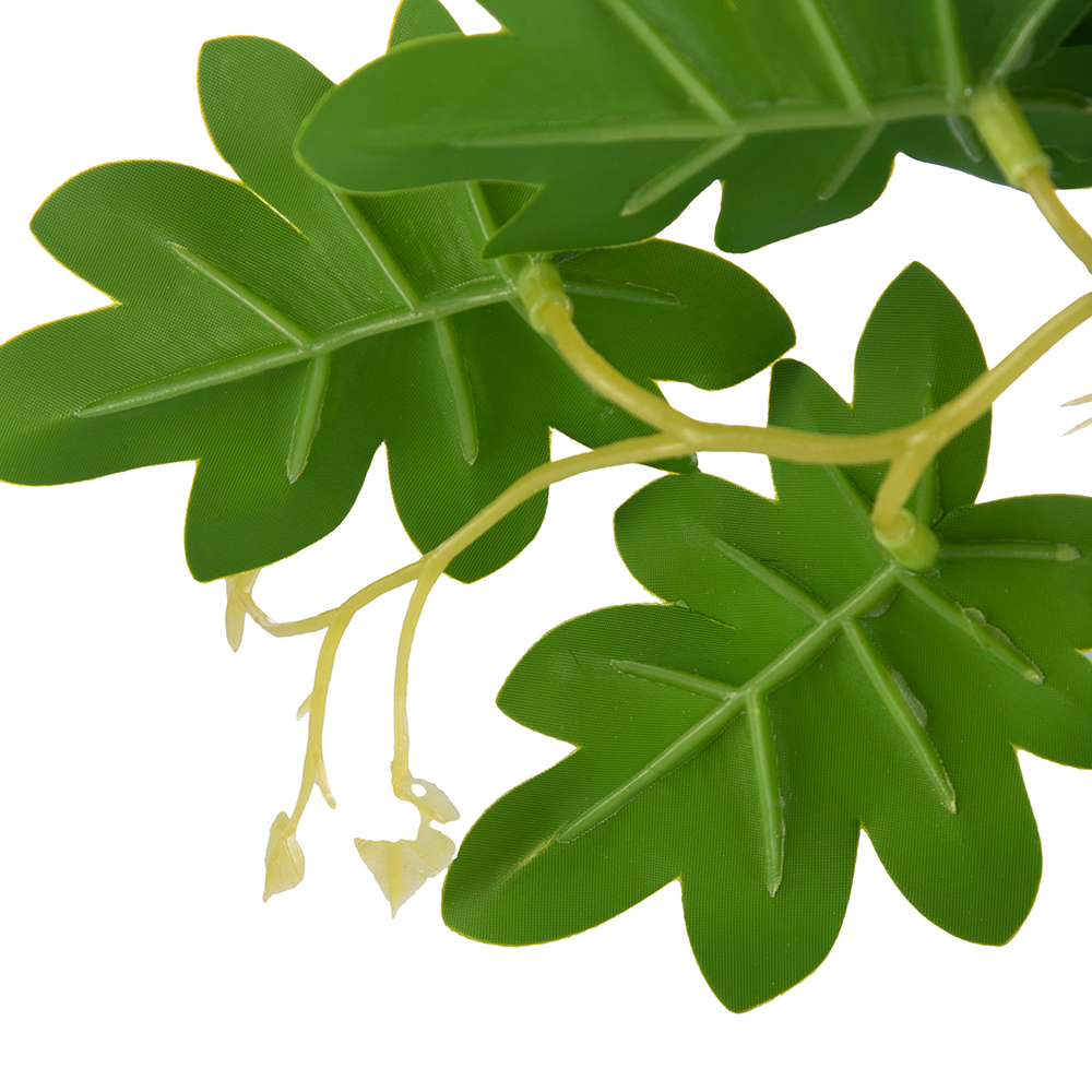Potted Philodendron (H21cm) - Image 2