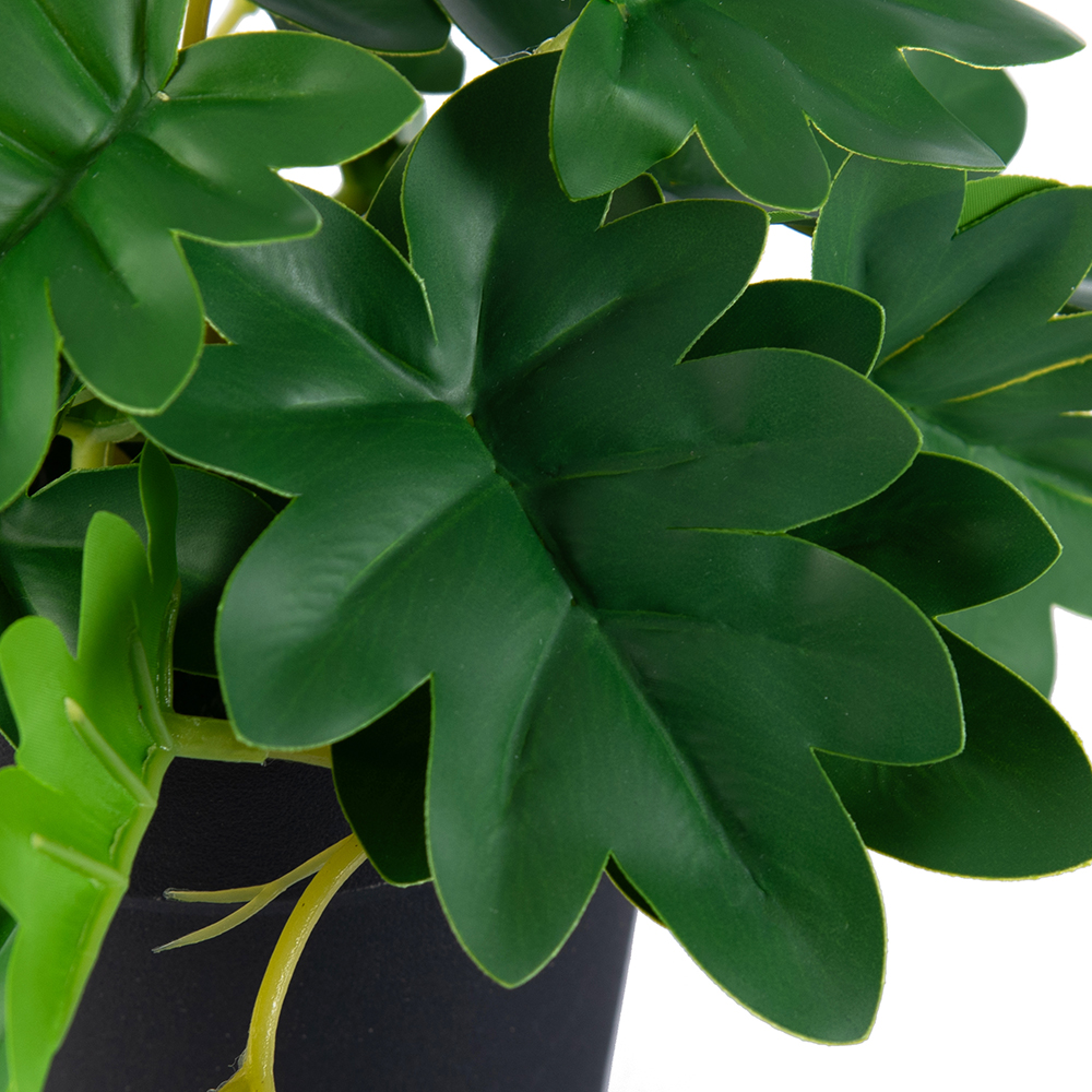 Potted Philodendron (H21cm) - Image 3