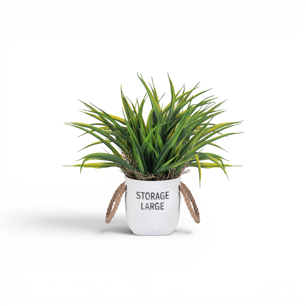Potted Spring Grass (H30cm) - Image 2