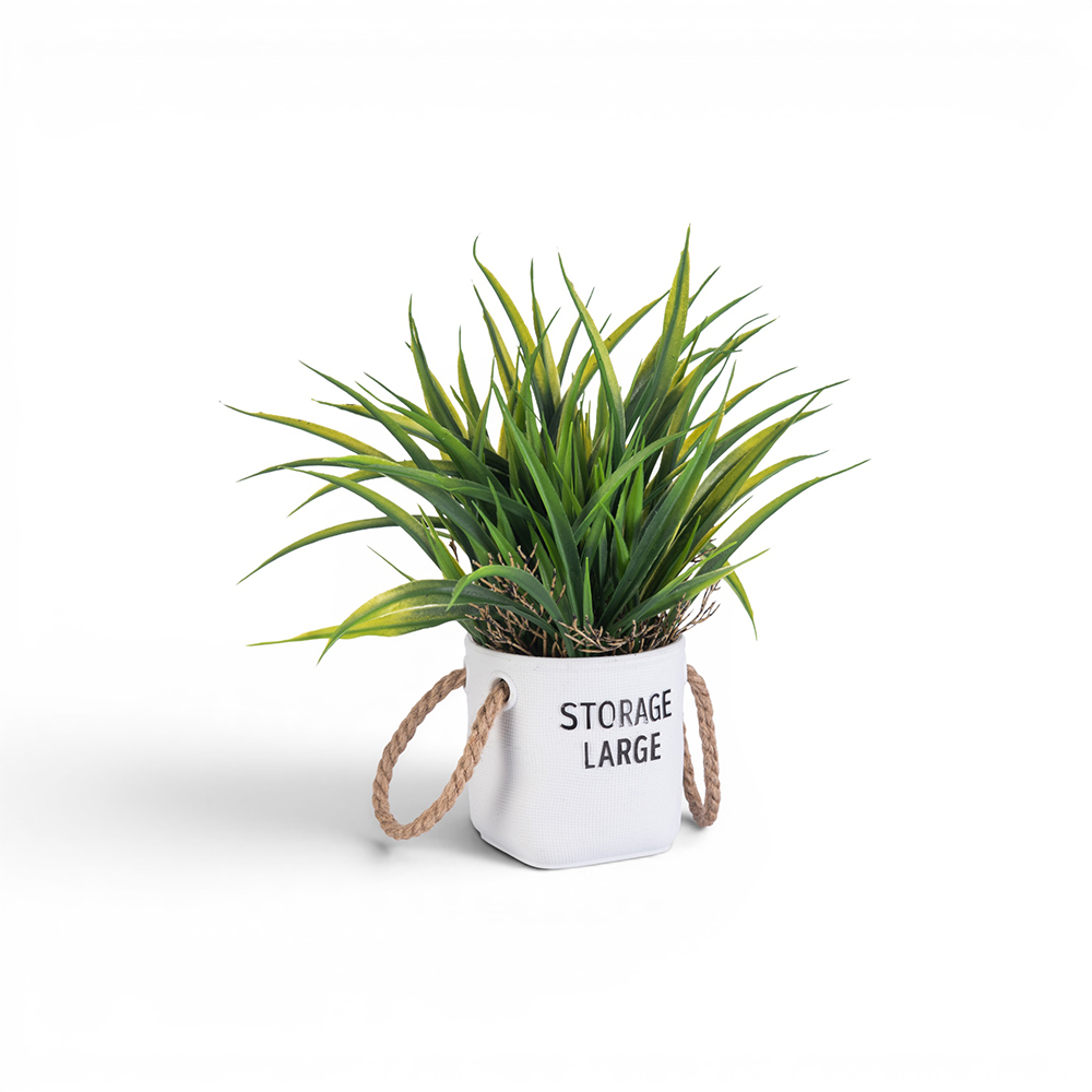 Potted Spring Grass (H30cm)