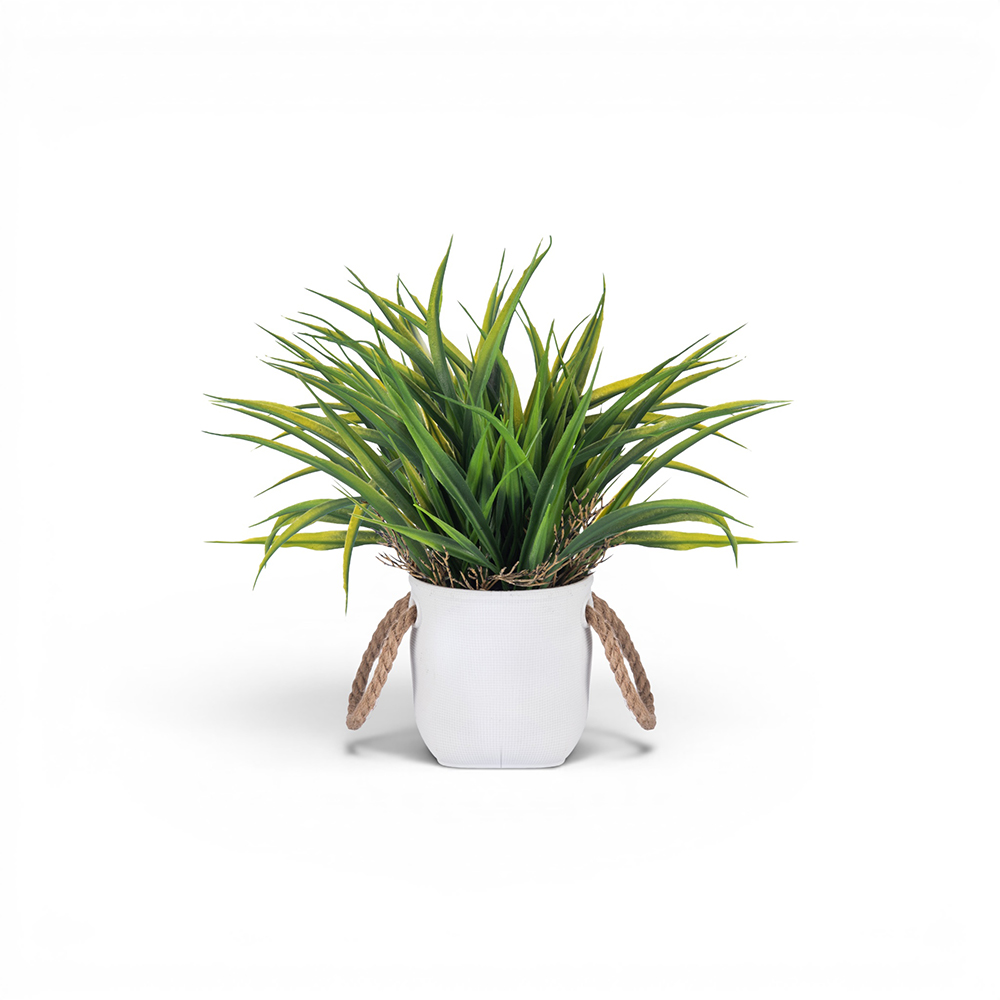 Potted Spring Grass (H30cm) - Image 3