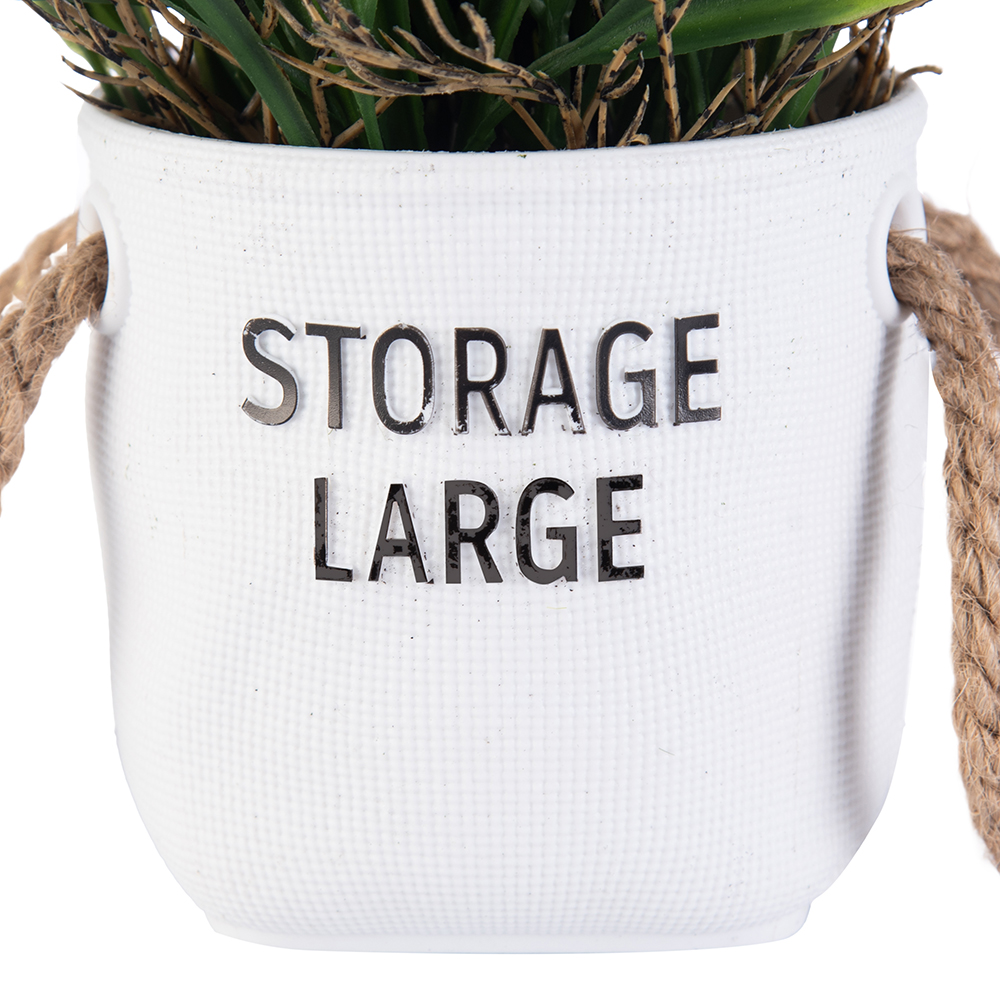Potted Spring Grass (H30cm) - Image 4