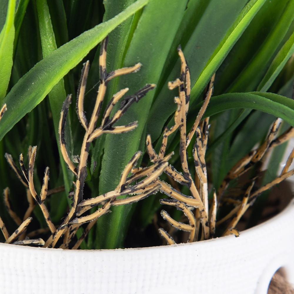 Potted Spring Grass (H30cm) - Image 6