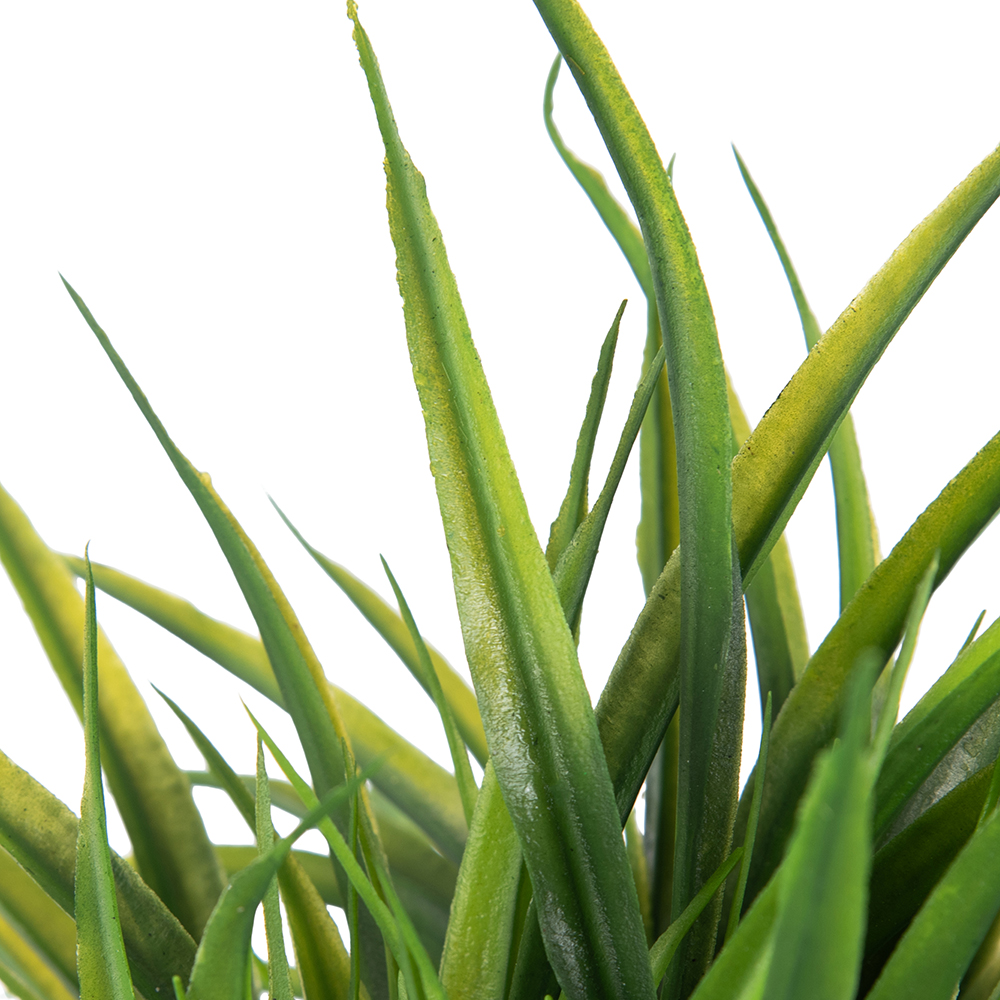 Potted Spring Grass (H30cm) - Image 7