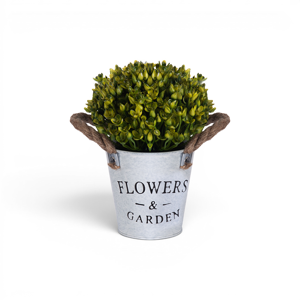 Potted Kalanchoe Flower (H18cm) - Image 6