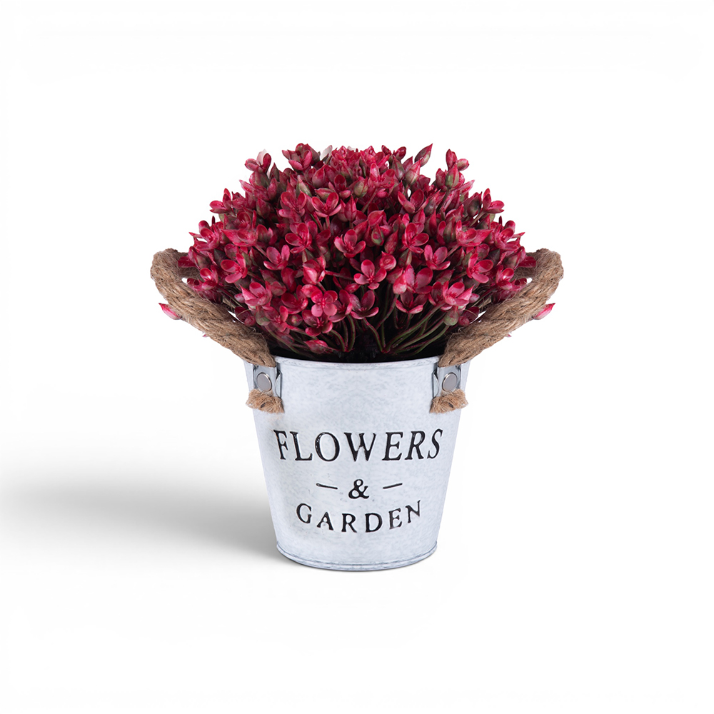 Potted Kalanchoe Flower (H18cm)