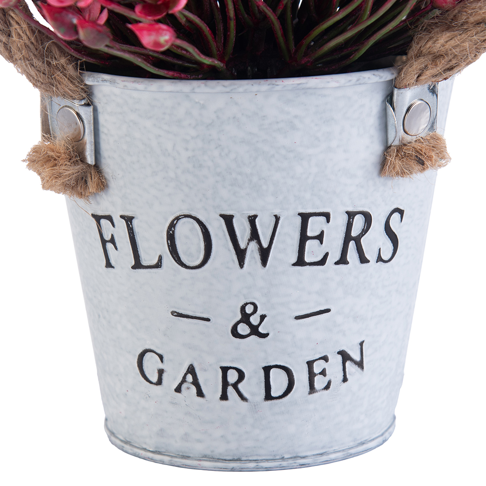 Potted Kalanchoe Flower (H18cm) - Image 3