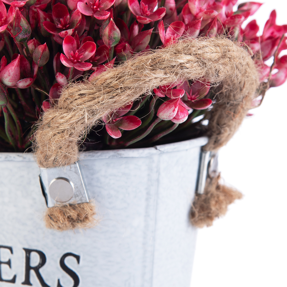 Potted Kalanchoe Flower (H18cm) - Image 5