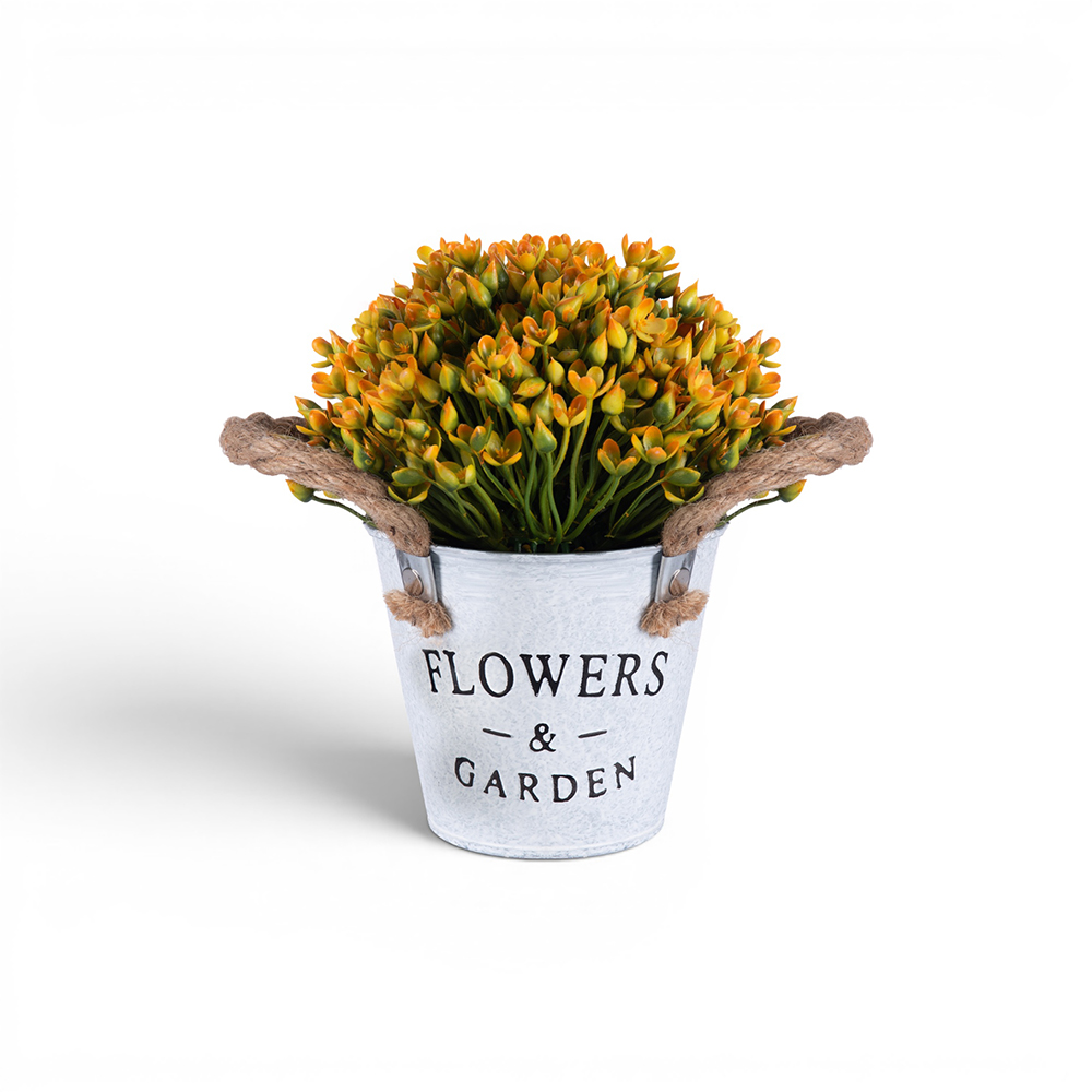 Potted Kalanchoe Flower (H18cm) - Image 7