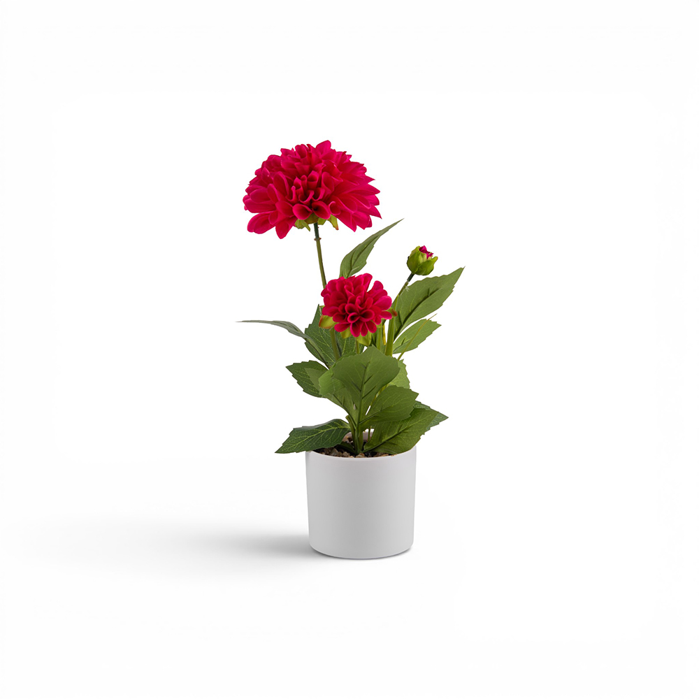 Potted Dahlias (H36cm) - Image 8