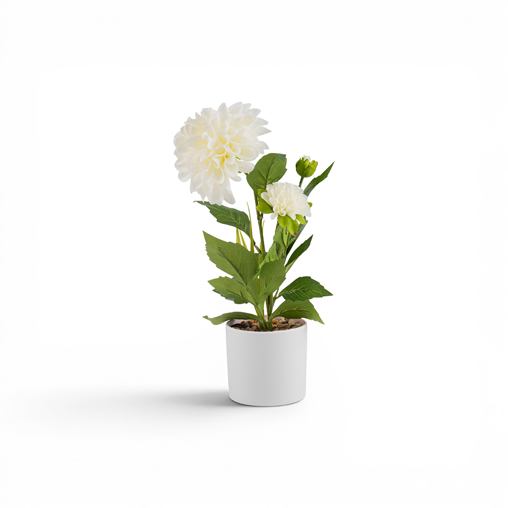 Potted Dahlias (H36cm) - Image 7