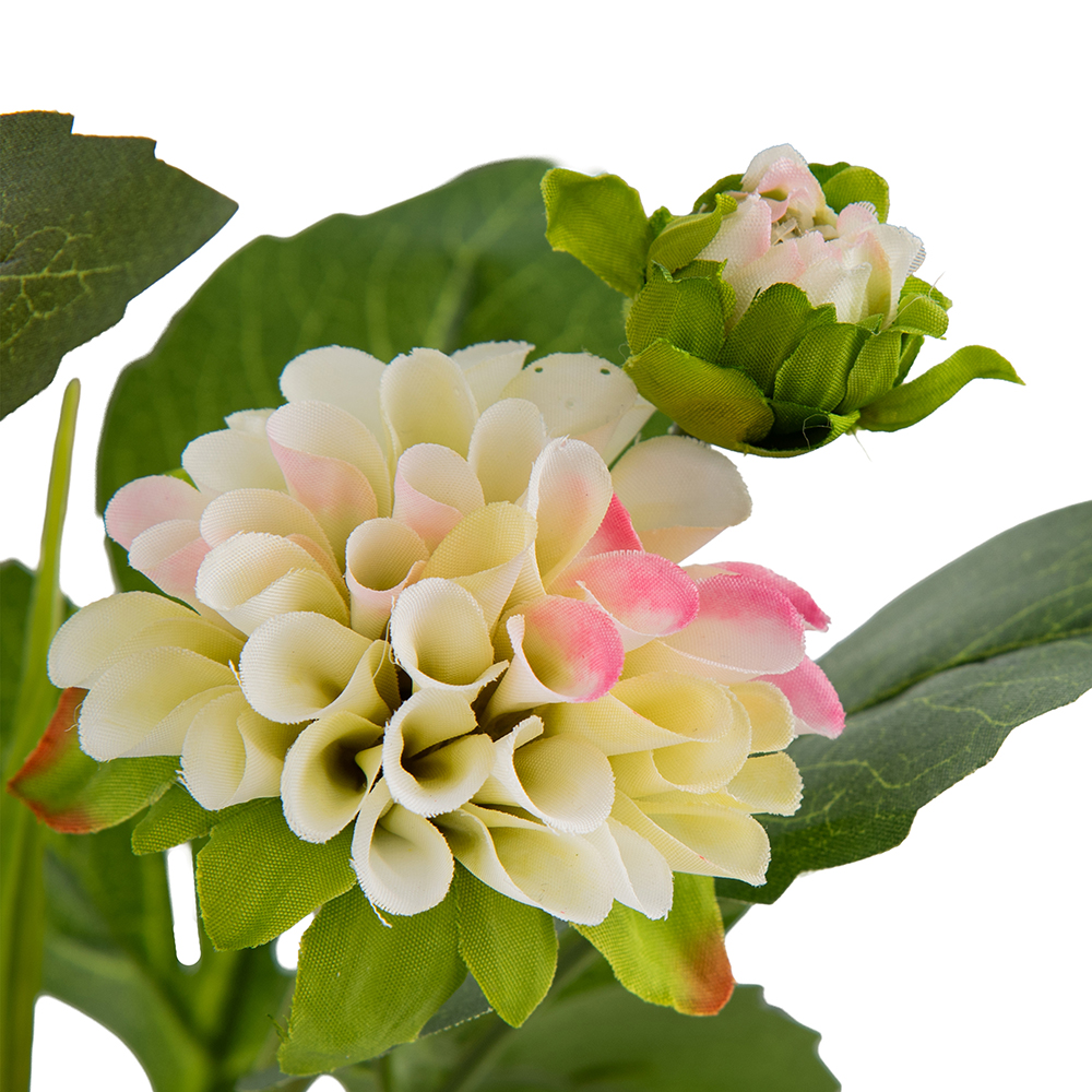 Potted Dahlias (H36cm) - Image 3