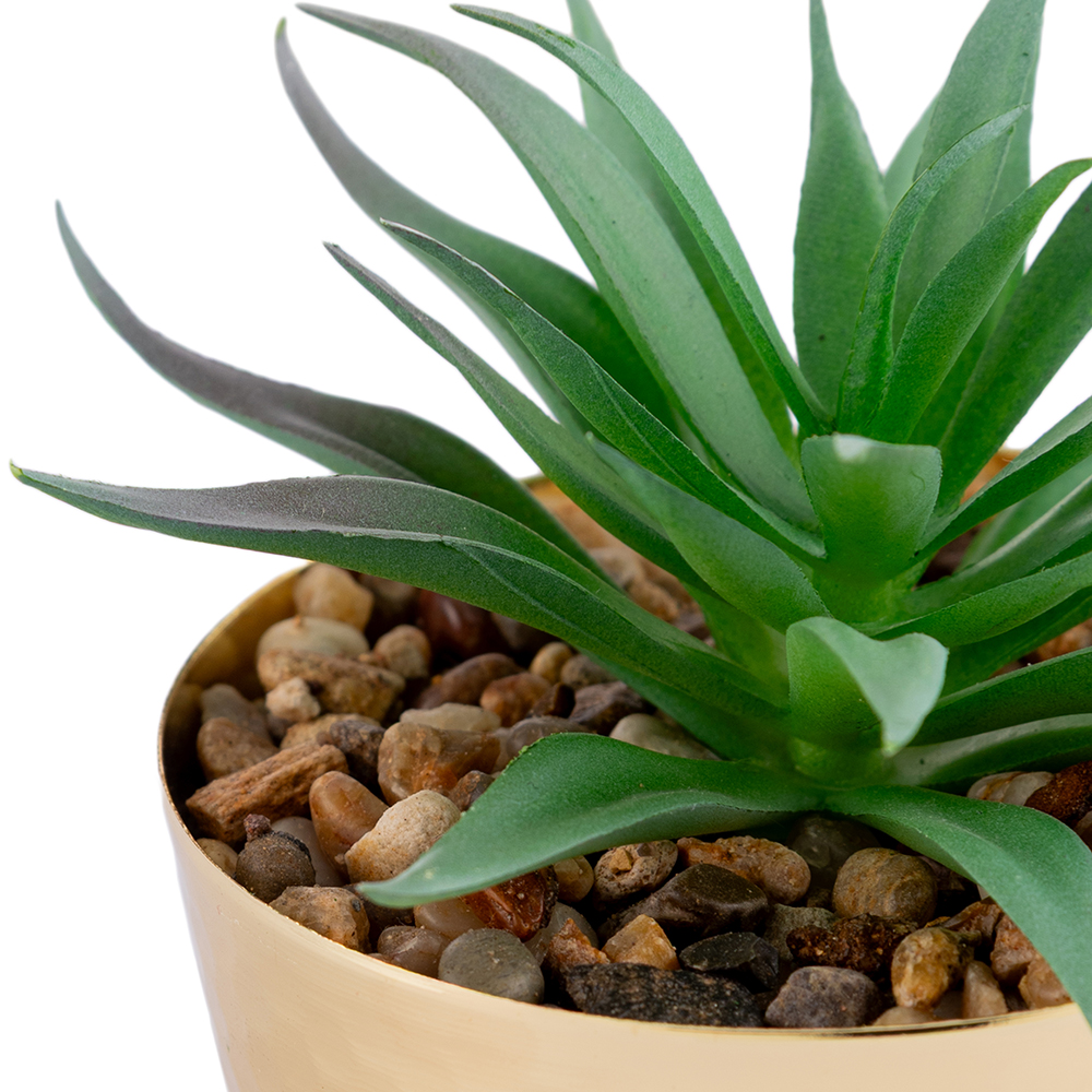 Potted Sword Grass (H11.5cm) - Image 2