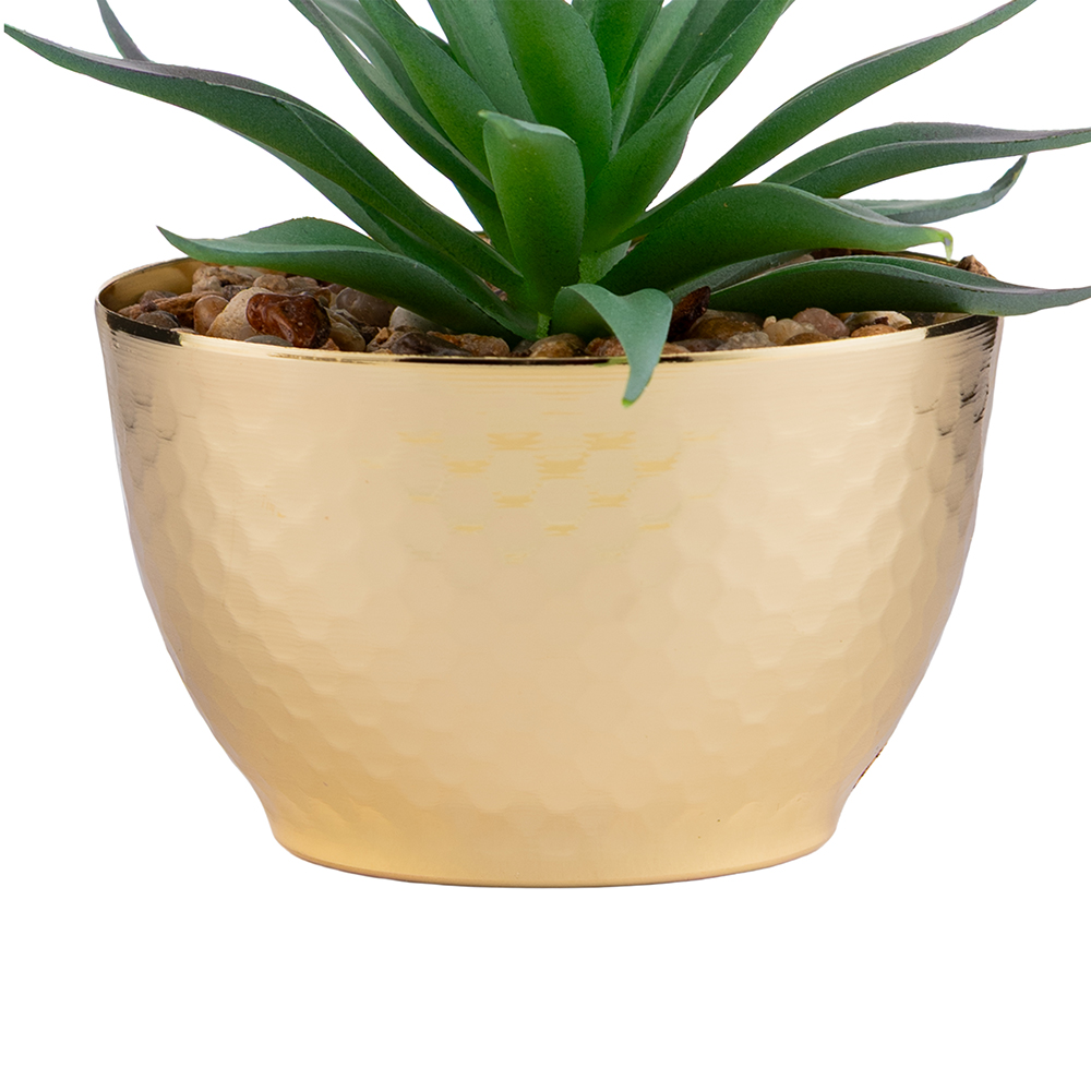 Potted Sword Grass (H11.5cm) - Image 3